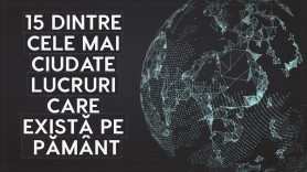 15 dintre cele mai ciudate lucruri care există pe Pământ